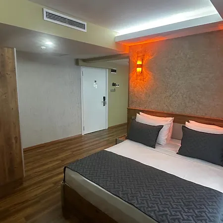 ホテル Oezer Palace