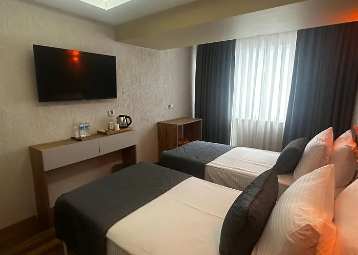 Hotel Oezer Palace Estambul