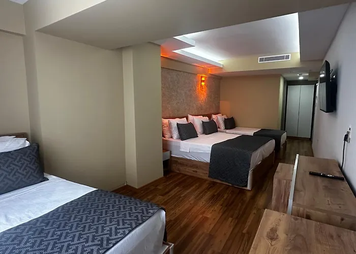 Hotel Oezer Palace Estambul