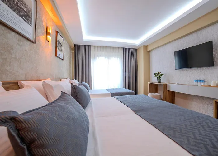 Oezer Palace Estambul